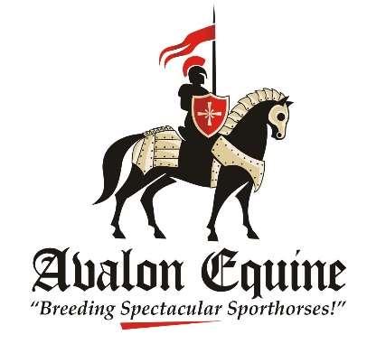 STALLION SERVICES AGREEMENT This Agreement entered into this day of, 2018, by and between Avalon Equine, hereinafter referred to as Stallion Owner &, hereinafter referred to as Mare Owner.