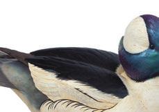 Small DECOY AWARDS Reproduced from original carvings by Sam Nottleman Decoys are hand cast