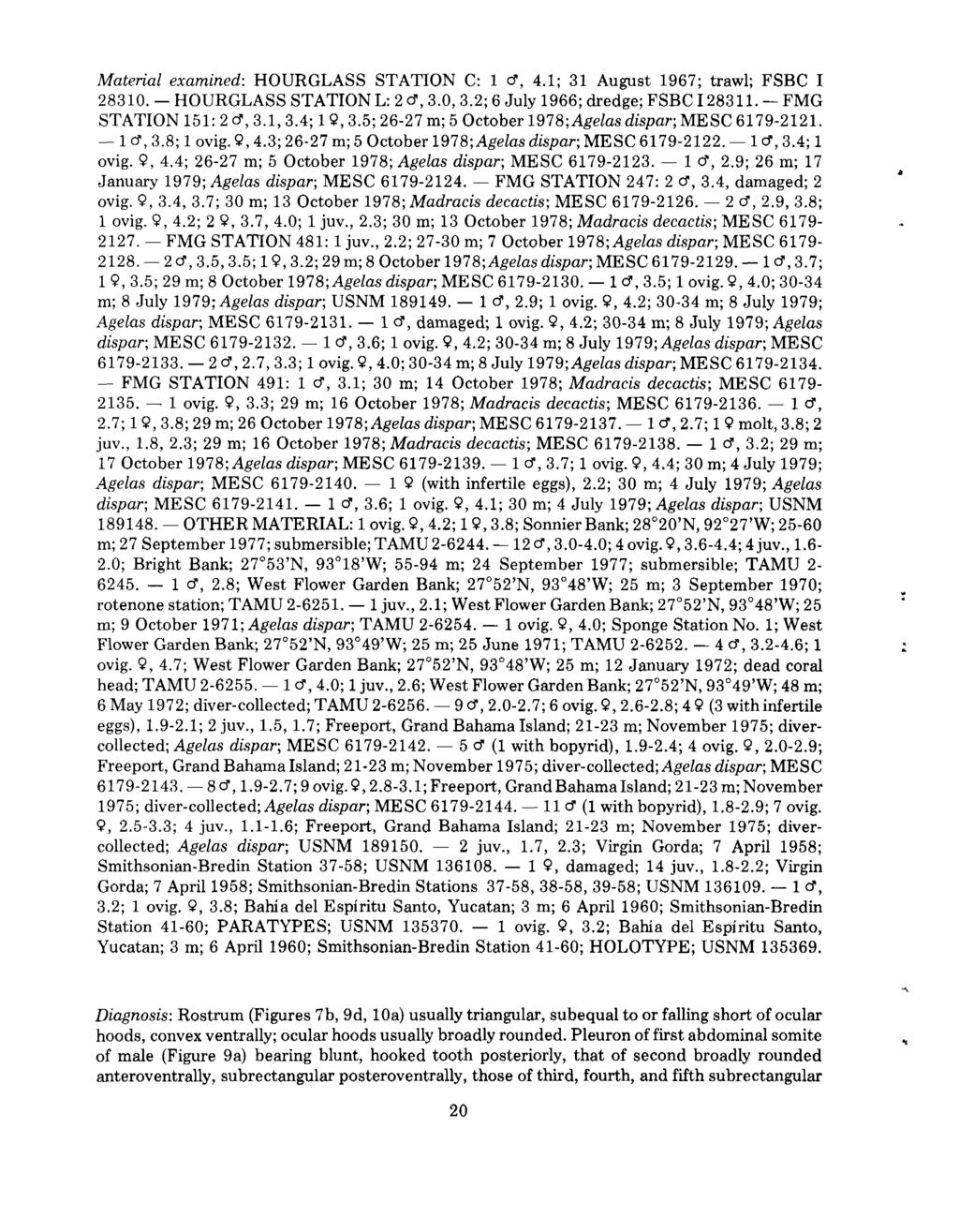 Material examined: HOURGLASS STATION C: 1 cf, 4.1; 31 August 1967; trawl; FSBC I 28310. HOURGLASS STATION L: 2 cf, 3.0, 3.2; 6 July 1966; dredge; FSBC 128311. FMG STATION 151: 2 cf, 3.1, 3.4; 1 9, 3.
