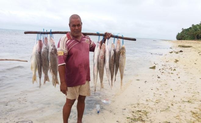Fishermen displaying their hand line catch after returning from over night fishing. Fig 10. Sabutu fish which weigh ~3.5kg per fish and sold at $12.00 per fish.