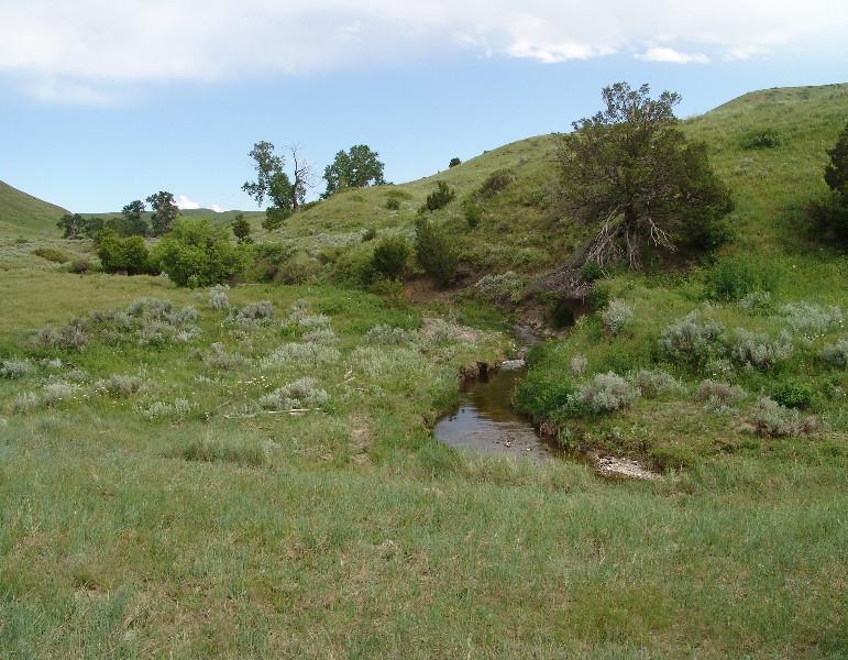 Moser Dome Ranch AGENT S NOTE: This 1,370+/- acre ranch is located approximately 5 miles east of Silesia, Montana. Silesia is located just 23 miles south of Billings.