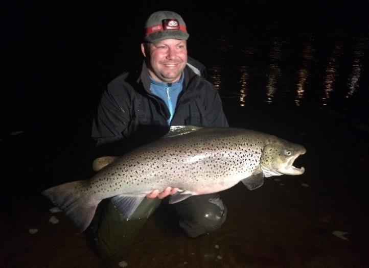 Large sea trout in August dusk, 2 nights In August, the famous large sea trout rise in the river Mörrum. Fishes between 70-85 cm are common at this time of the season.