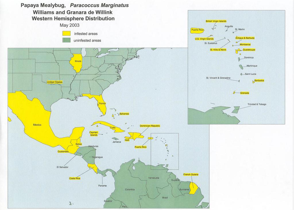Papaya Mealybug, Paracoccus marginatus Williams and Granara de Willink (Insecta:... 2 Neotropical Region in Belize, Costa Rica, Guatemala, and Mexico (Williams and Granara de Willink 1992).