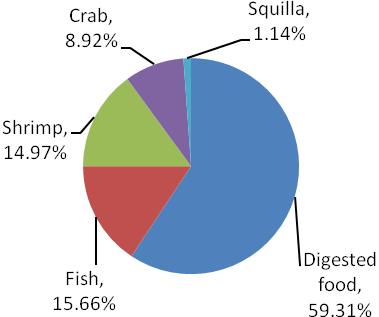 percentage (32.08%) of fish was observed at 400-500 mm length groups, where as in shrimp the highest percentage (17.65%) was noticed in 101-120 mm length groups.