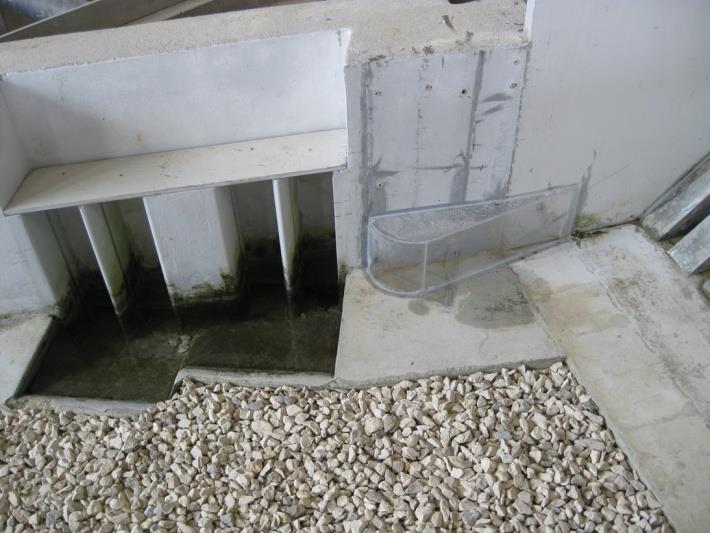 These modifications consisted in the insertion of deflectors in the spillway piers to improve the energy dissipation in the stilling basin, in the replacement of the continuous weir with a dentate