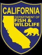 California Department of Fish and Wildlife Agency Report to the Technical Subcommittee of the Canada-United States Groundfish