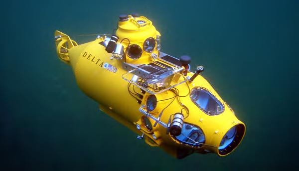 Epifaunal Sampling Reef Surveys Remotely operated vehicle (ROV) Hammerhead Used for dives in 2011