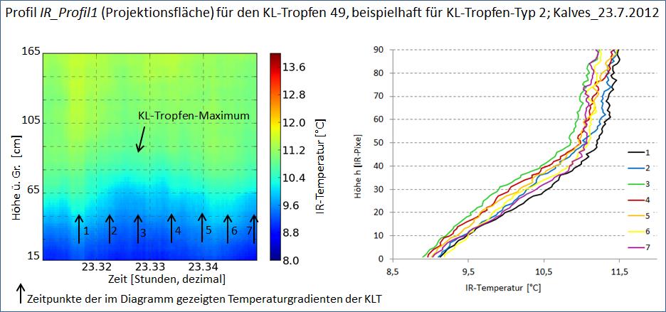height over ground [cm] IR temperature [ C] height over ground [IR-Pixel] Analysis of katabatic flow using infrared imaging at micro and meso scale Observation of individual passing