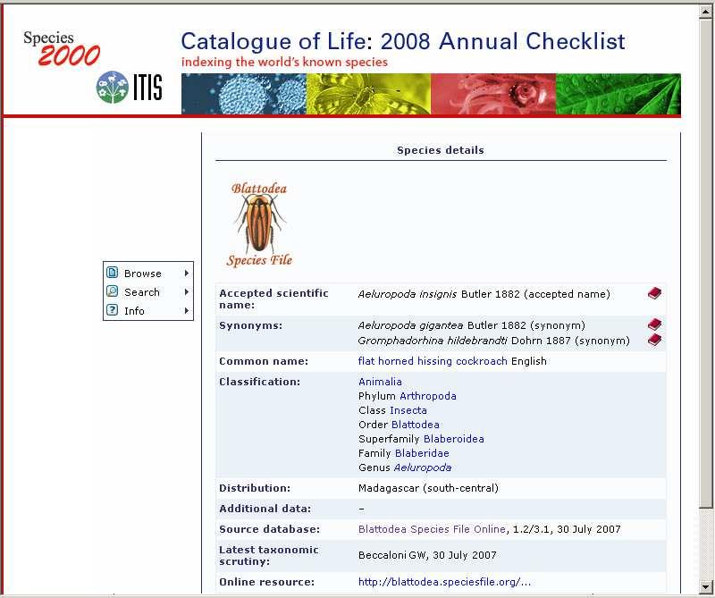 Species 2000 Catalogue of