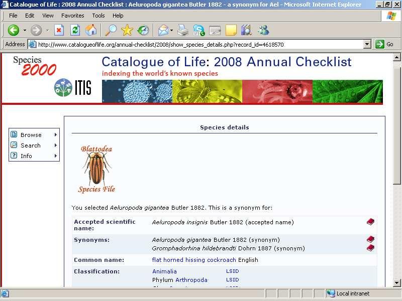 Species 2000 Catalogue of Life taxonomic backbone services to users worldwide GBIF EoL CBOL IUCN BHL EBI/GenBank Global portals LifeWatch ANAEE ELIXIR
