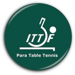 INTERNATIONAL TABLE TENNIS FEDERATION PARA TABLE TENNIS Technical Delegate report Name