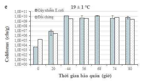 (khi TVC 10 6 cfu/g, theo quy định của Bộ Y tế (2007)) của Nguyễn Thụy Vân Duyên (2017), thì lượng coliforms trong cá rô phi sau 144 giờ ở 1 ± 1 C, 120 giờ ở 4 ± 1 C, 120 giờ ở 9 ± 1 C, 24 giờ ở 15 ±