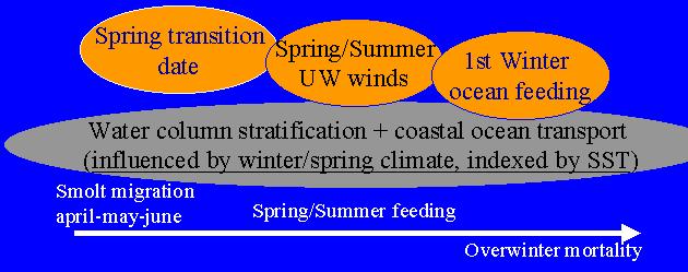 How to add bottom-up forcing into the model? Logerwell et al. (2003) found that Oregon coastal coho salmon survival was influenced by a series of (mostly) independent physical ocean processes.