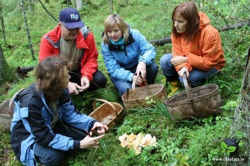 Group participants are instructed how to look for mushrooms, how to recognise edible mushrooms, and how to collect them. Group participants also are instructed for safety precautions in the forest.