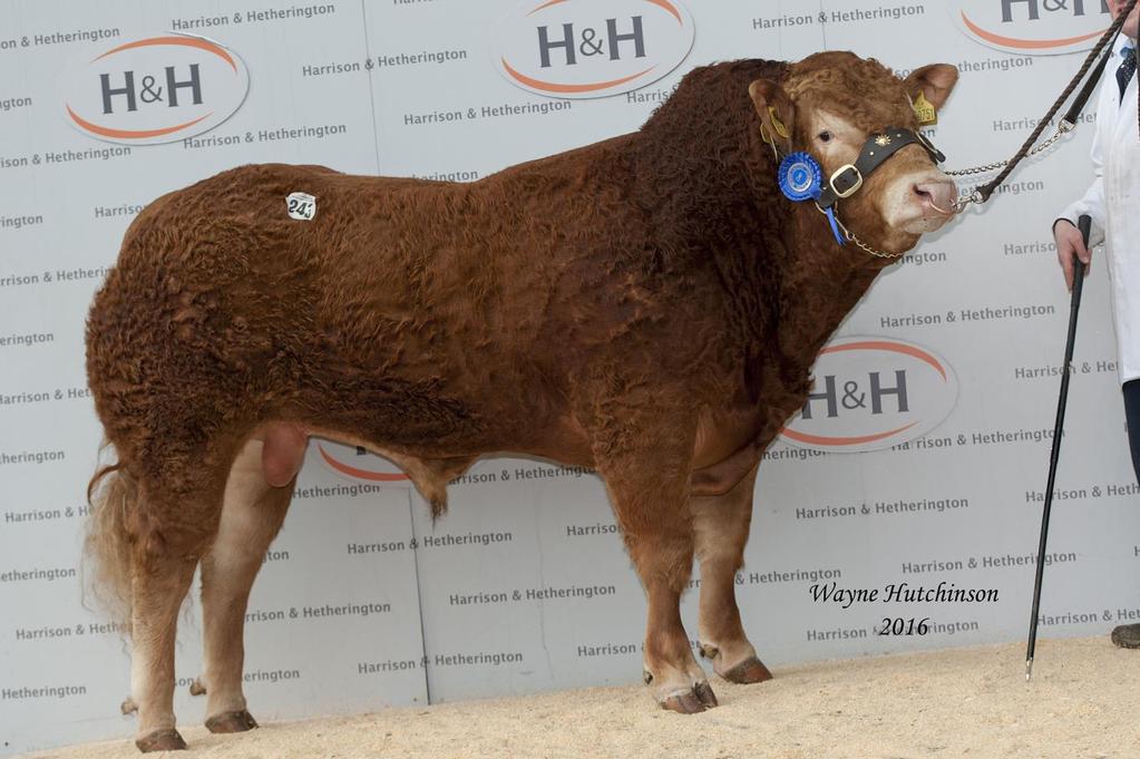 Gunnerfleet Jimmy Gunnerfleet Jimmy was purchased at the Limousin sale in February 2016 and has ran with the herd, further details will be given out at time of sale.