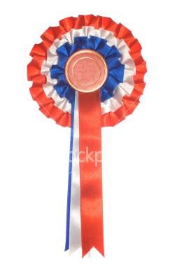 Achievement Badges Well done to the following members who achieved their Points of Pony achievement badge this month.