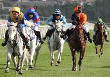 Pony Racing Point-to-Point 26th March, Lanark If anyone is interested in taking part in a pony race at the point-to-point on 26th March please contact Maggie Young at