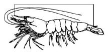 Measurement types - Invertebrates Most common total length, carapace length & carapace