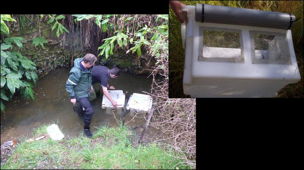 weather and flow conditions, it is advisable to not hold fish for longer than a week before using in trials. Figure 5-1: Live-bins deployed in Kara Stream to maintain inanga for fish passage trials.