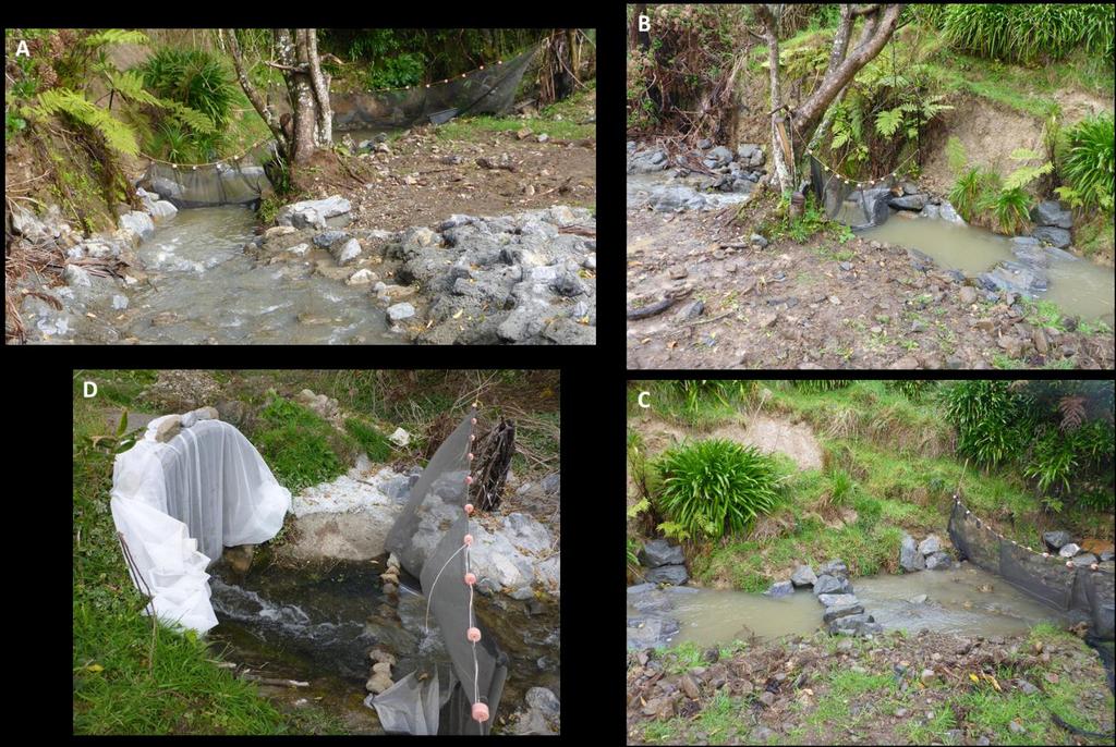 Figure 5-4: Downstream barricades installed in Kara Stream during the inanga passage trial.