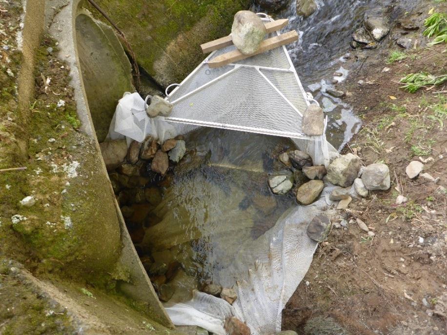 D, Barrier nets deployed for testing inanga passage through the culvert independently of the rock-ramp.