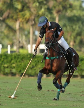 Page 5 The Morning Line Thursday, December 31st, 15 With a 13-12 victory over Ellerstina on Saturday, December 12 at Palermo, La Dolfina took