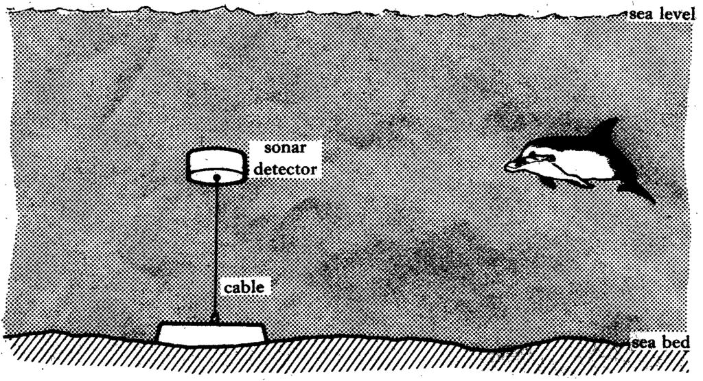 1991 Q3 A sonar detector, of mass 60 kg, is used for monitoring the presence of dolphins. It is attached by a vertical cable to the sea bed so that the detector is held below the surface of the sea.