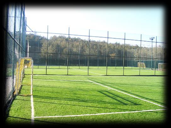 Soccer Fields; 1 legal size grass field (Devrim