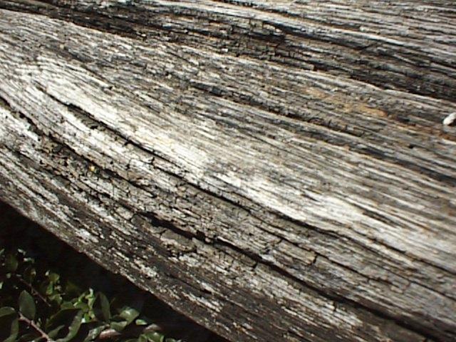 Spremeni se barva lesa, površina s časom postaja čedalje bolj reliefna, pojavijo se številne razpoke in