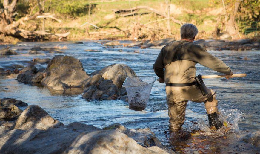 Virginia Waters Await: Fall Trout Stocking The autumn trout stocking season in Virginia is in full effect! Despite the cooler weather, fall is actually a prime time to fish.