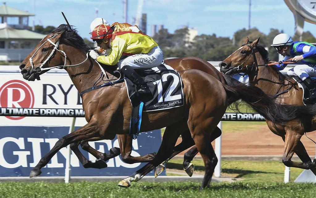 l CHRIS WALLER RACING - WINNERS THIS WEEK zumbelina 4yo M Stratum - Ruth s Secret by Noverre This talented daughter of Stratum returned from a spell with an impressive first up victory at Rosehill on