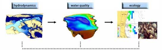 INTRODUCTION Hydrodynamic Modeling In understanding the marine and coastal environment the contribution of hydrodynamic numerical models become highly indispensable.