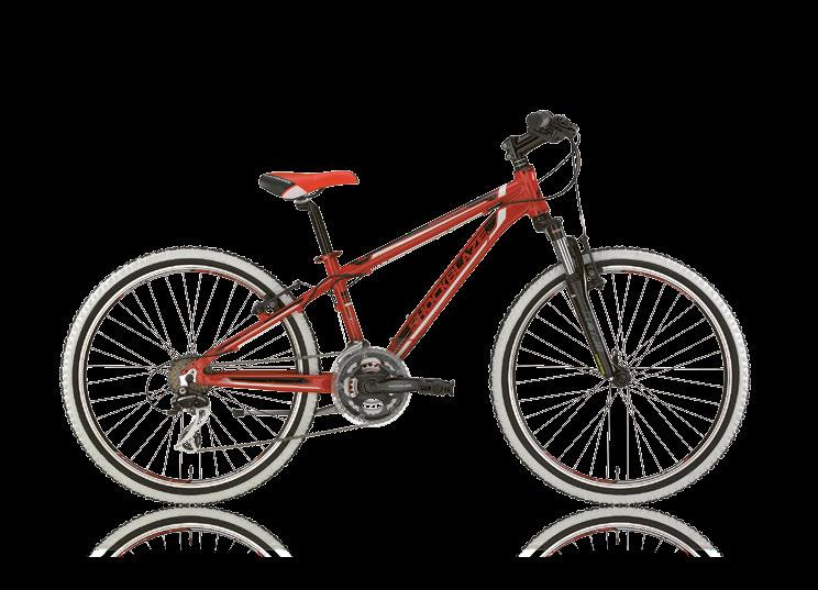 KIDS bikes WARRIOR 24" Light alloy frame Front suspension fork Comfortable saddle Frame geometry for junior