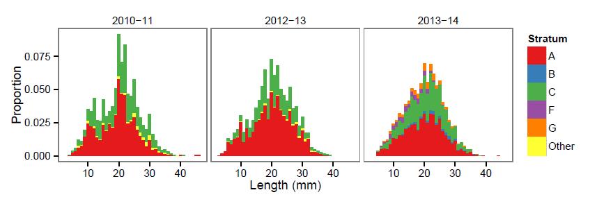 Figure 5: Length frequency distribution of cockle sampled at Whangateau Estuary over the survey series Preliminary monitoring results from the latest in a series of surveys conducted by Whangateau