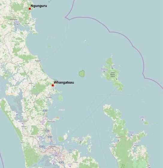 Figure 1: Location of Ngunguru Estuary and Whangateau Harbour 1 Introduction This consultation paper outlines sustainability concerns for cockles and pipi at two locations, Ngunguru Estuary and