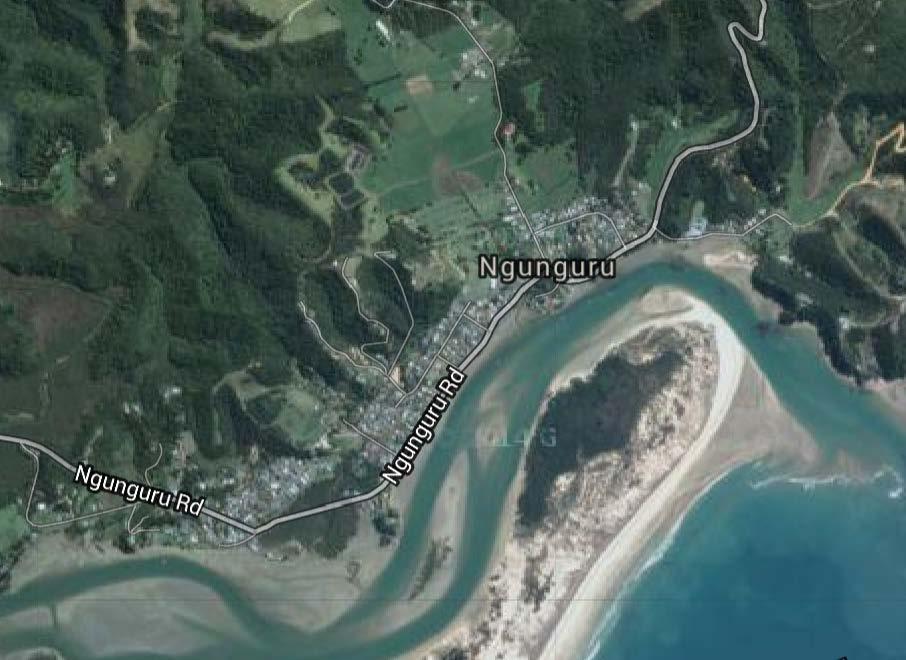NGUNGURU ESTUARY Figure 1: Potential fisheries closure site (approximate) at Ngunguru Estuary 1 Purpose Ngunguru is a coastal settlement approximately 26 km North East of Whangarei.