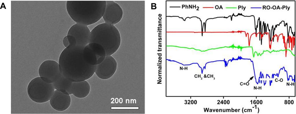M. Liu et al. Figure 2. A) TEM images of RO-OA-Ply FONs; the images show that the diameters of RO-OA-Ply FONs are about 100 200 nm. B) Normalized IR spectra of PNH 2, Ply, OA, and RO-OA-Ply FONs.