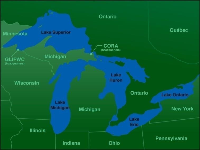 A JOINT STRATEGIC PLAN FOR MANAGEMENT OF GREAT LAKES FISHERIES Plan signed in 1981; revised in 1997 Voluntary, non-binding Many