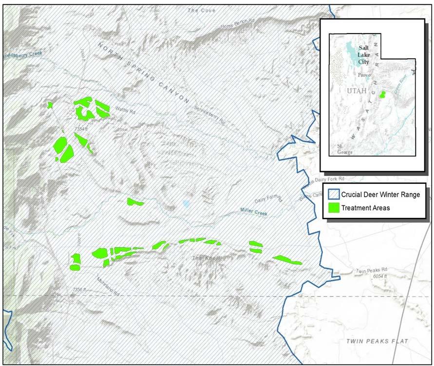 Figure 1. The Miller Creek restoration area on crucial winter range in central Utah. 2.