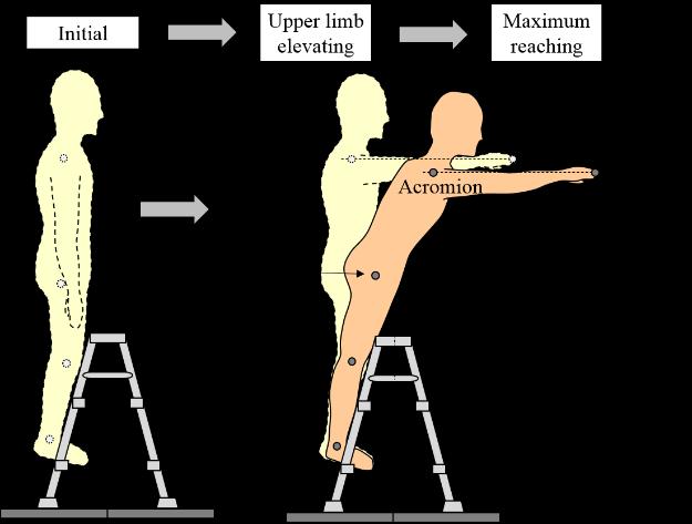 2 Equipment In this study, a three-step folding standing stepladder (Japanese Standards Association, 2013) with a platform (the platform itself is considered as the top step), as shown in Figure 1,