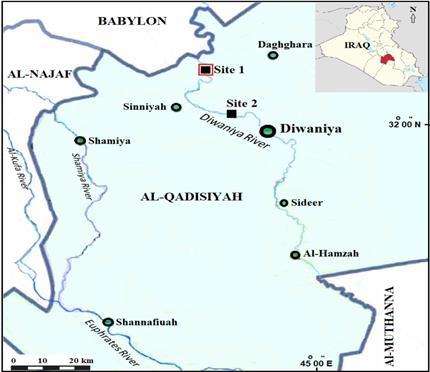 Fig. 1. Map of Al-Qadisiyah Province showing the collection site of C. sublimus in Al-Diwaniya River.