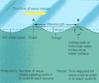 Propagates freely (WL: - 00m) Seiches: Gravity wave, often produced by wind, freely oscillates w/in a semi-enclosed space Tsunami: Gravity wave produced by seismic activity, landslides,