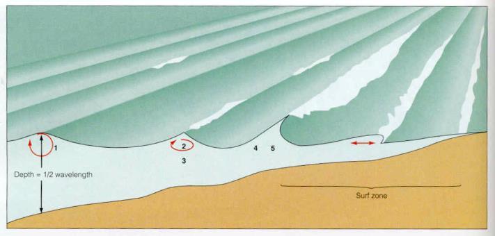 Shallow-water waves: Shoaling, bending