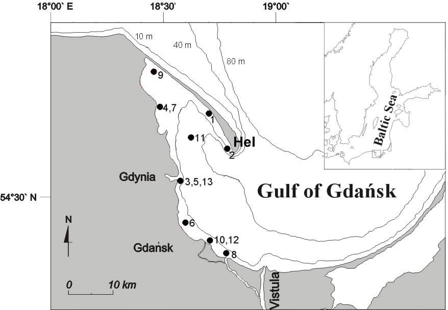 leidyi, ranging from 30 to 92 ind. m -3, was reported in Kiel Bight (Javidpour et al. 2006). In the Åland Sea their presence was restricted to deeper waters in or below the halocline (approx.