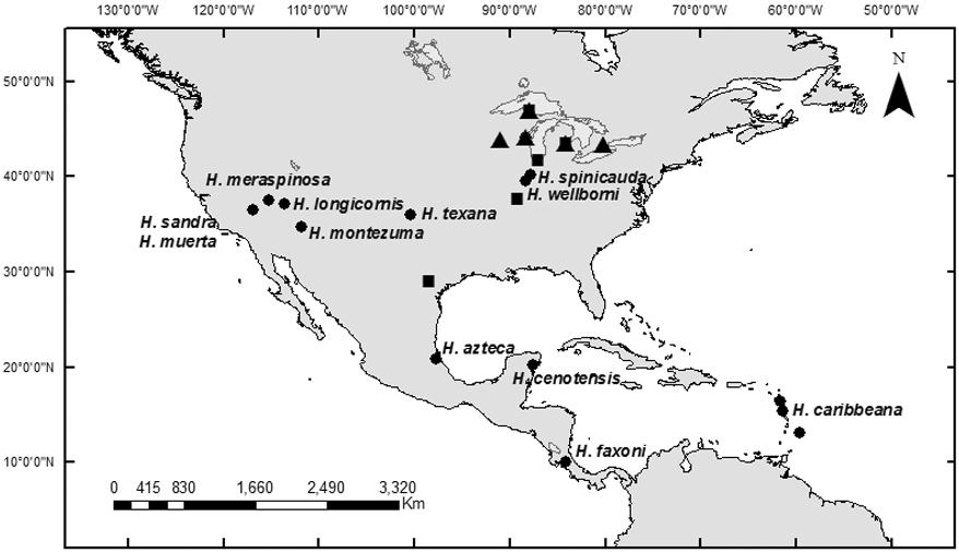 Figure 1. Map with the location of the species of Hyalella in North America, Central America and the Caribbean region. Circles indicate the type locality of each species.