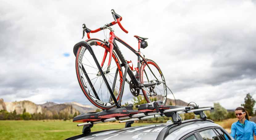 TOP-OF-CAR UPRIGHT ROAD BIKES MOUNTAIN BIKES FENDERS