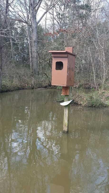 We replaced a missing wood duck nesting