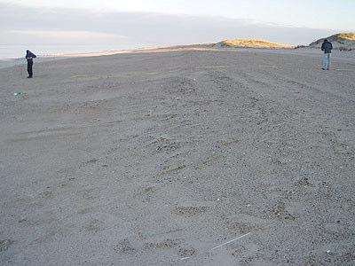 The unwanted geomorphic feature in which the case study develops (Holmgren et al.