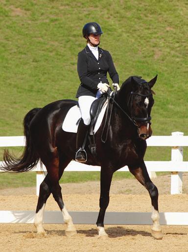 American dressage enthusiasts, United States Dressage Federation members are unquestionably the most committed.