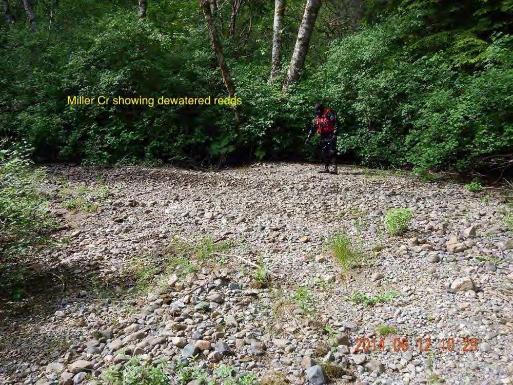 Creek on June 12, 2014. Figure 10.